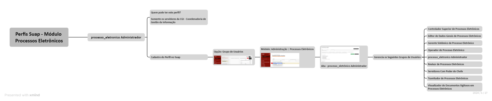 PERFIL - PROCESSO ELETRÔNICO ADMINISTRADOR.png